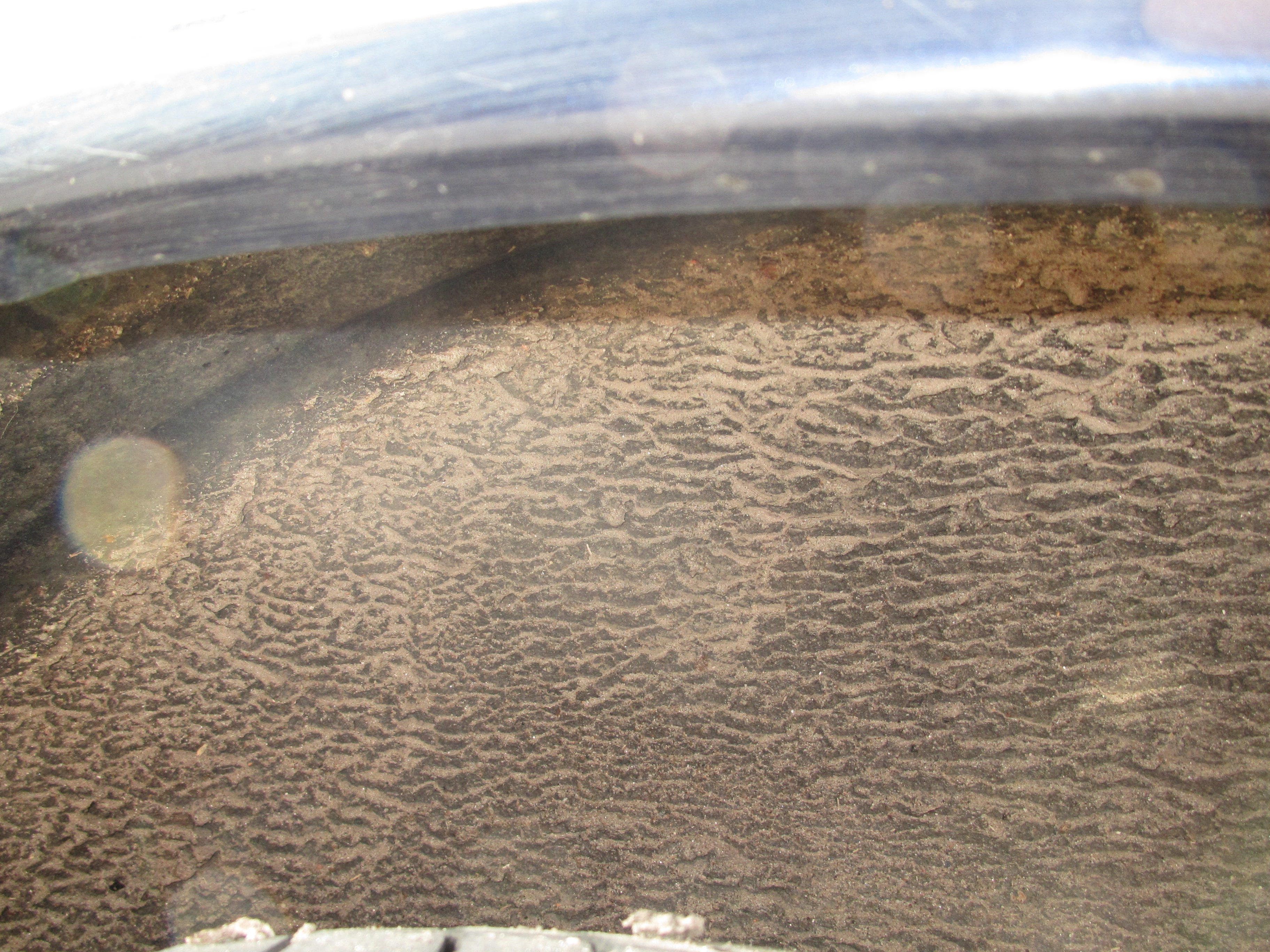 Koets linker achterwielkuip 2